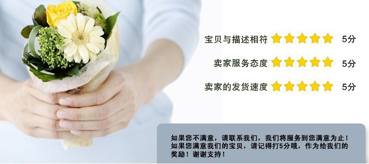 興盛銀白珠光粉